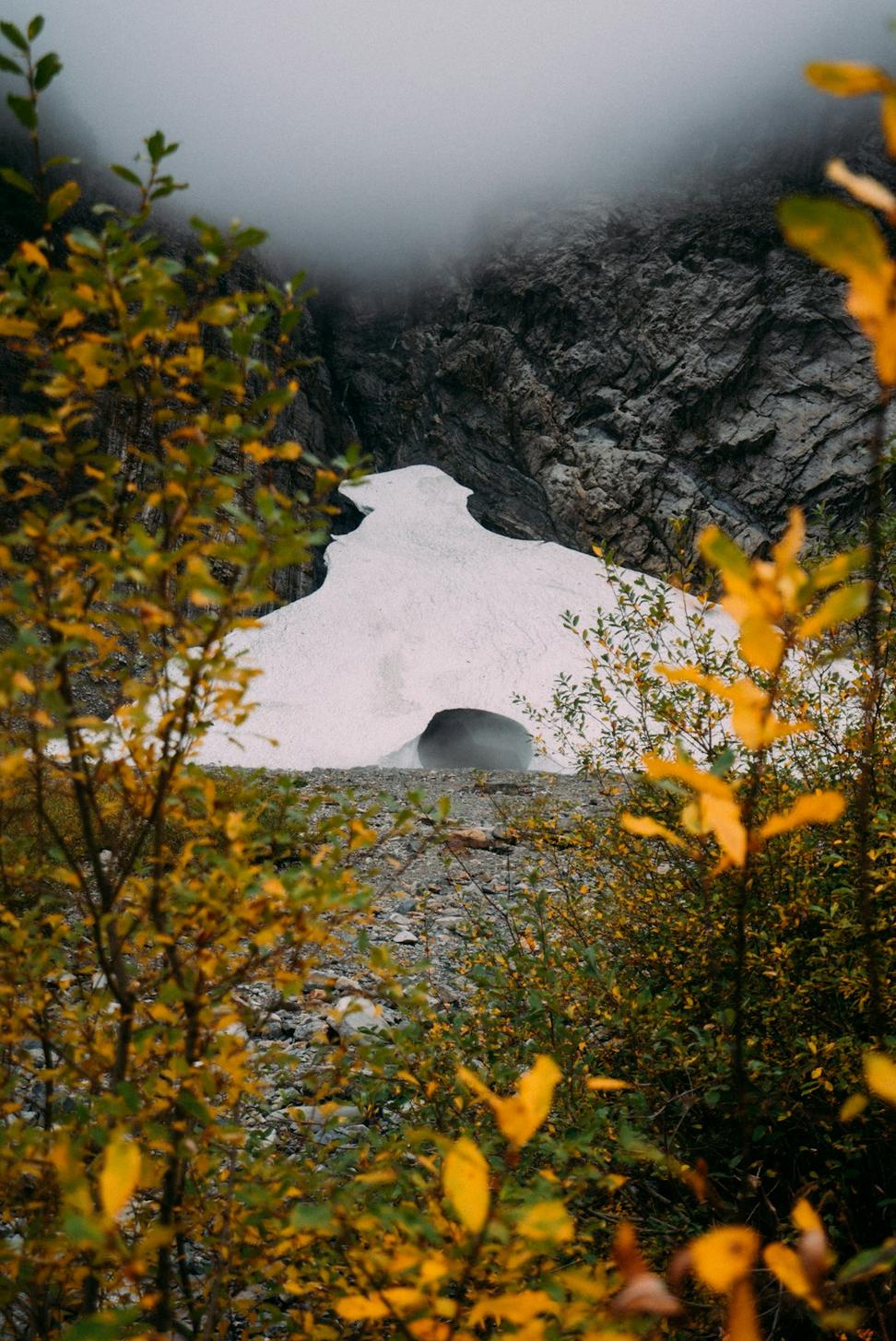 Northern architecture