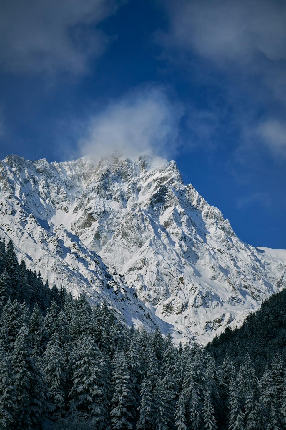 Haines Junction Residence